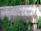 image of grave number 328446